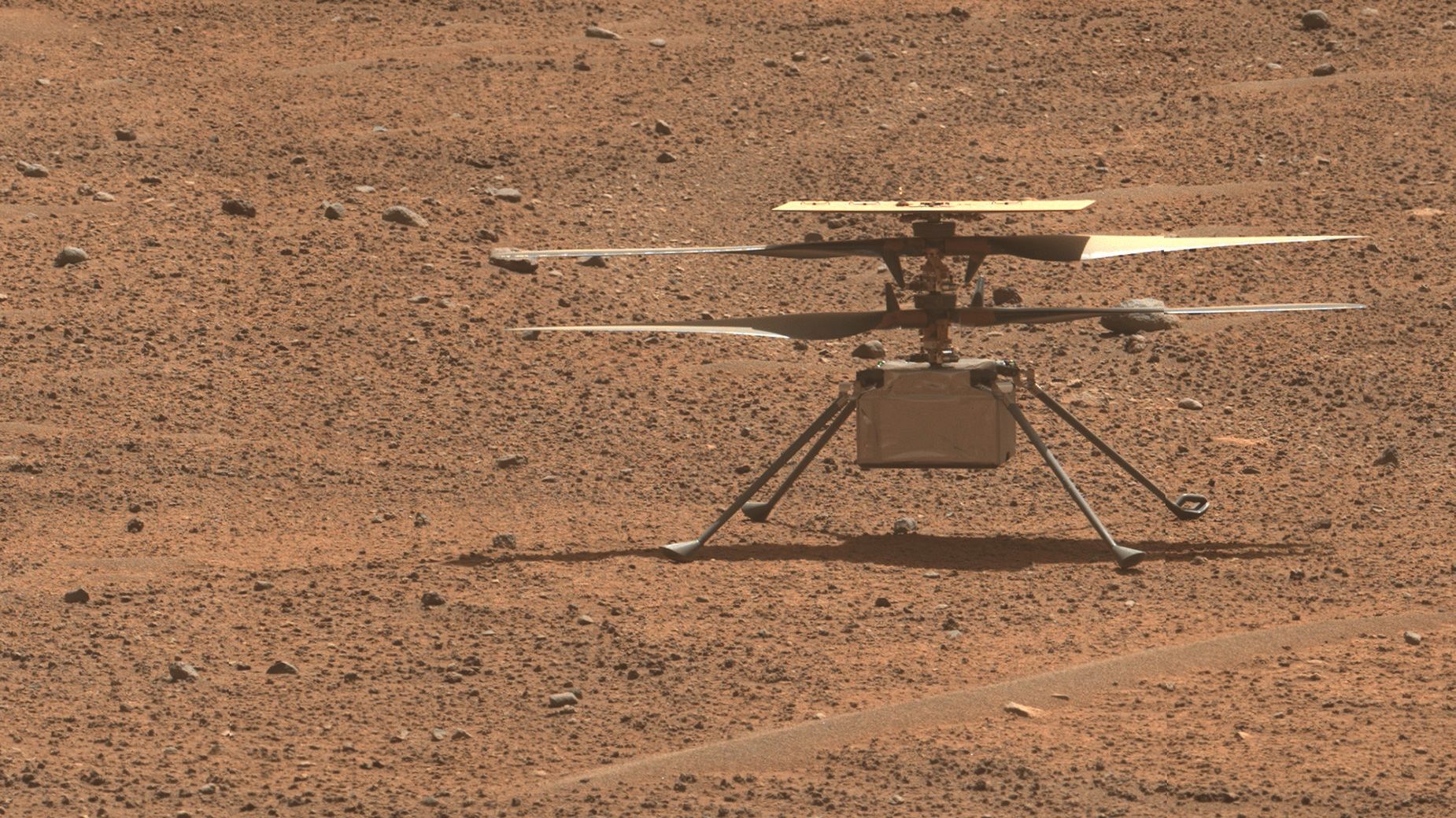 Mars Perseverance rover loses its trusty scout